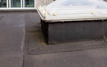 disadvantages of Am Baile flat roofs